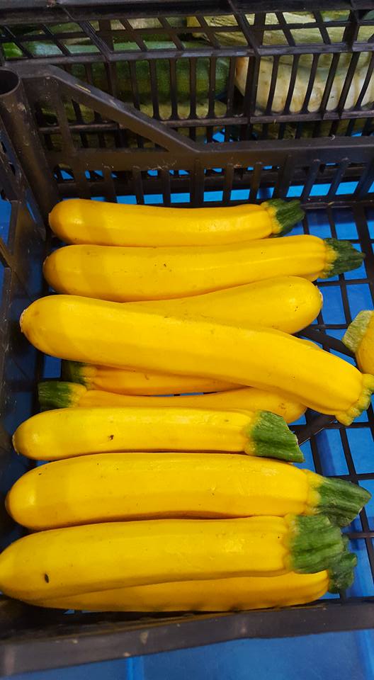 zucchine gialle..jpg